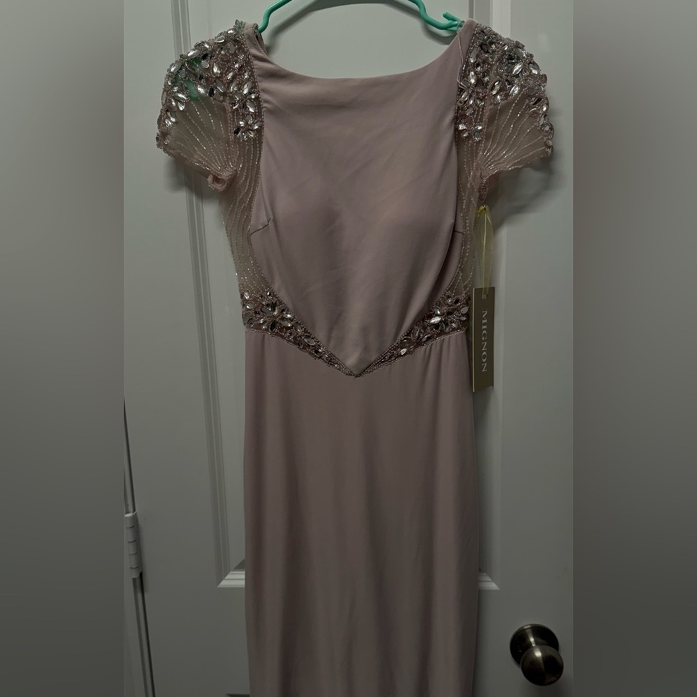 Mignon Blush Backless Dress with Embellishments